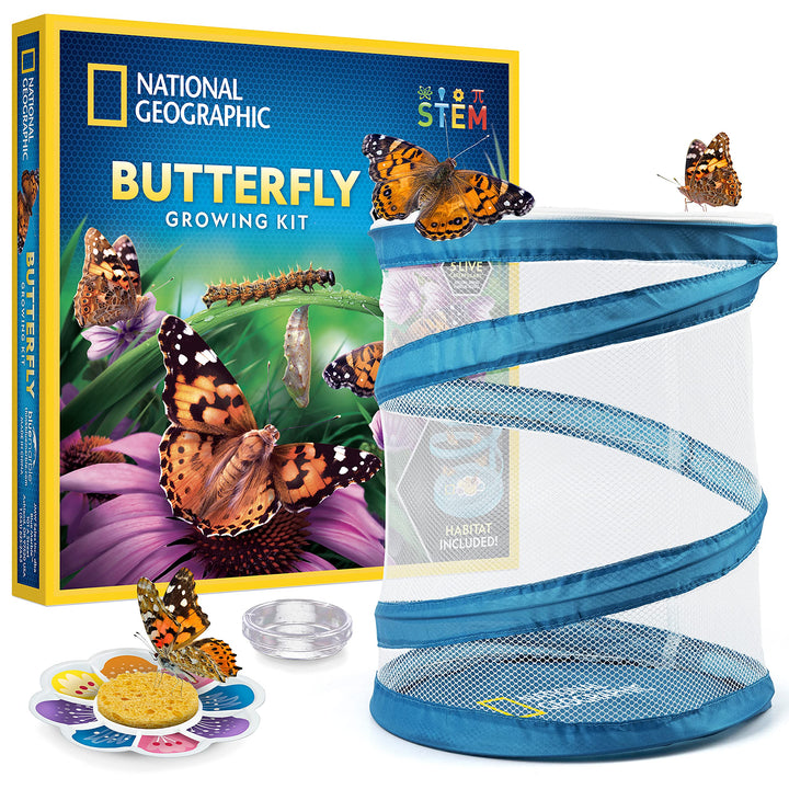 National Geographic Butterfly Growing Kit for Kids Nature Activity | Mesh Habitat, Voucher for 5 Live Caterpillars, Feeder Dish and Sponge, Metamorphosis Science, Outdoor Learning
