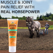 Absorbine Veterinary Liniment Gel