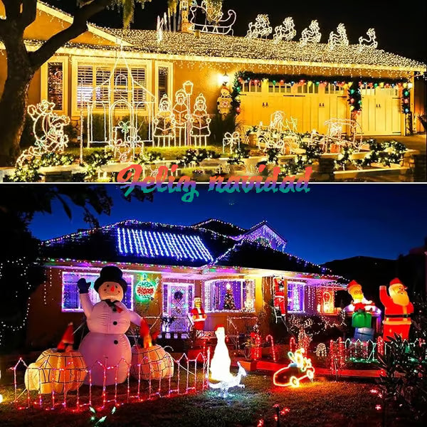 🎄Outdoor and Indoor Christmas Lights